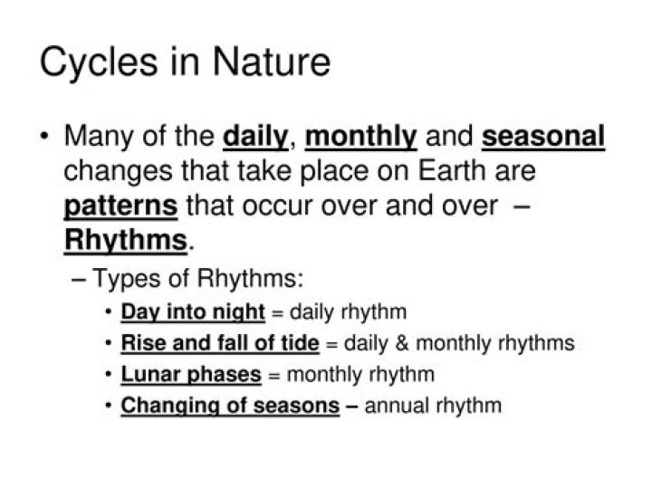 A Journey Into Daily Rhythms And Hidden Meanings