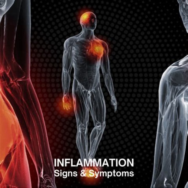 A Journey Into Inflammation Relief