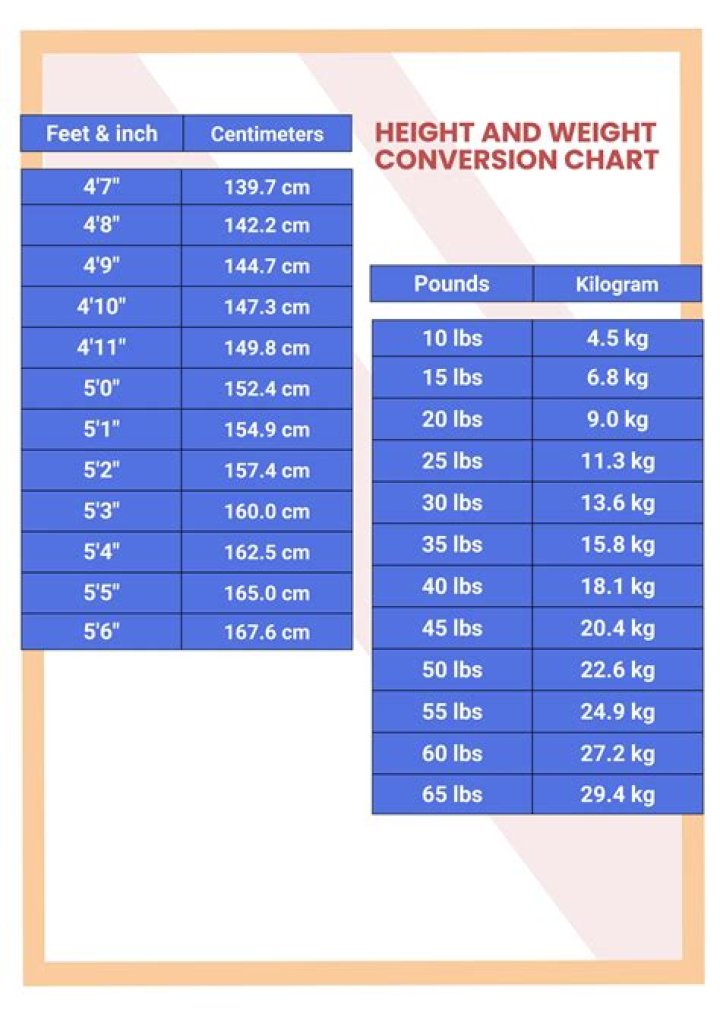 A Journey Of Height And Insight