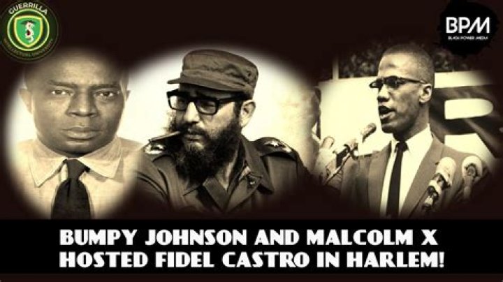 Bumpy Johnson And Malcolm X's Revolutionary Alliance