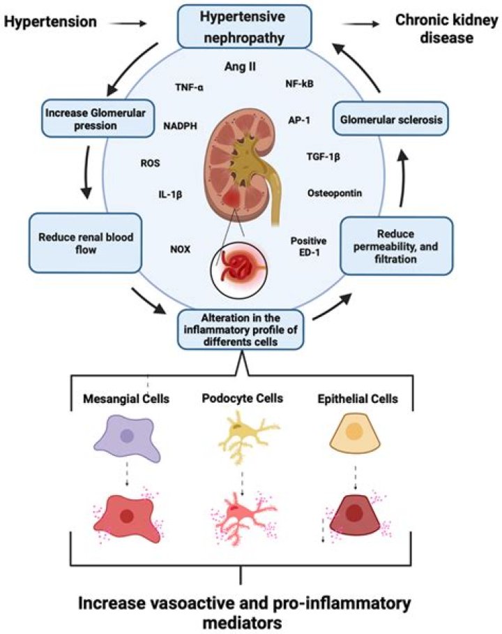 Digger Manes Blood Disease: Unraveling The Mystery
