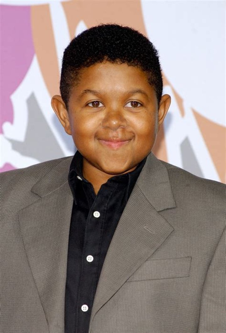 Discover The Multifaceted Emmanuel Lewis