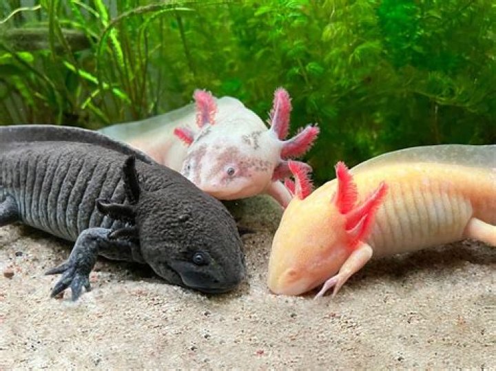 Exclusive Pictures Reveal Surprising Truths