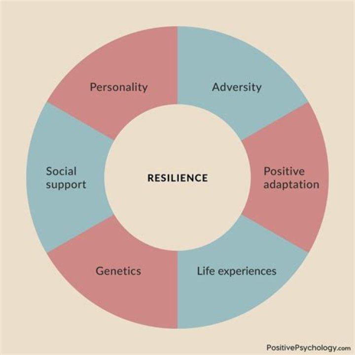 Explorations Of Emotion And Resilience