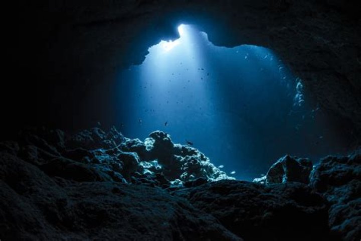Explore The Depths, Gain Insights