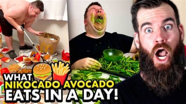 How Rich is Nikocado Avocado from YouTube? ·