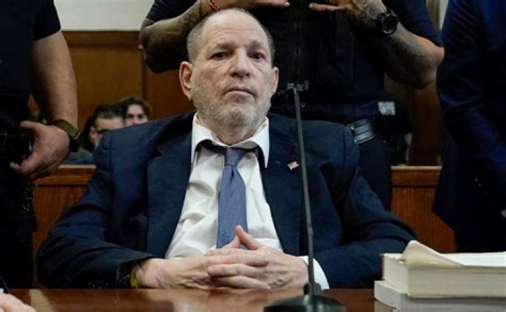 Is Ben Weinstein From My Unorthodox Life Related To Harvey Weinstein? ·