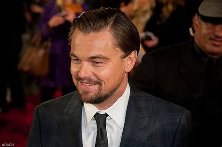 Is Leonardo DiCaprio Gay or Bisexual? Look at His Sexuality ·