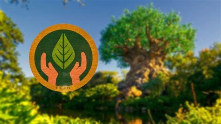 Meet The Next Generation Of Wilderness Explorers