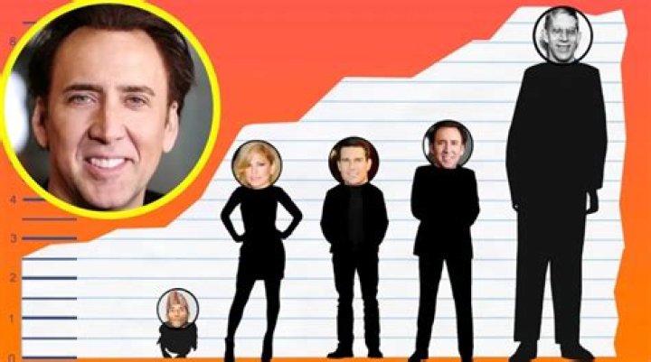 Nicolas Cage Height, Weight, Net Worth, Age, Birthday, Wikipedia, Who, Instagram, Biography ·