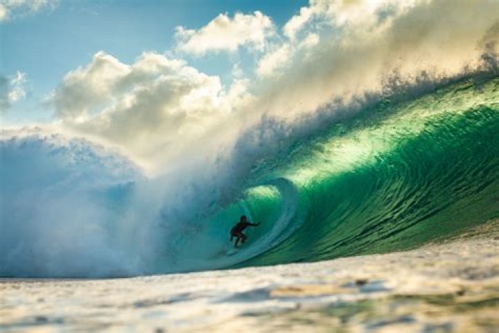 Surprising Revelations For Passionate Surfers