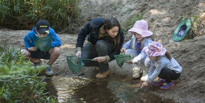 Uncover Adventure, Education, And Conservation