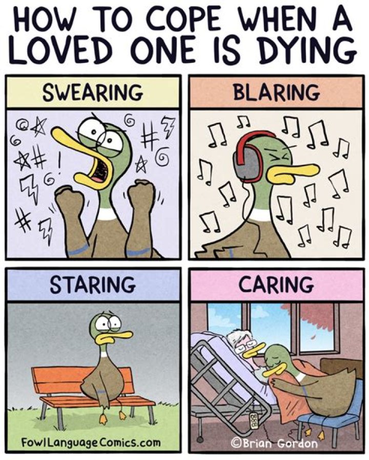 Unveiling Grief, Humor, And Resilience