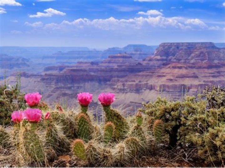 Unveiling Intimate Moments And Inspiring Perspectives