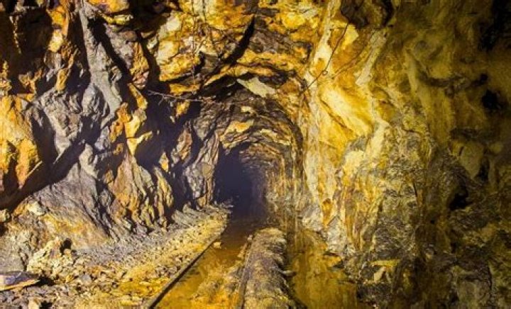 Unveiling The Golden Origin: Discoveries And Insights Await