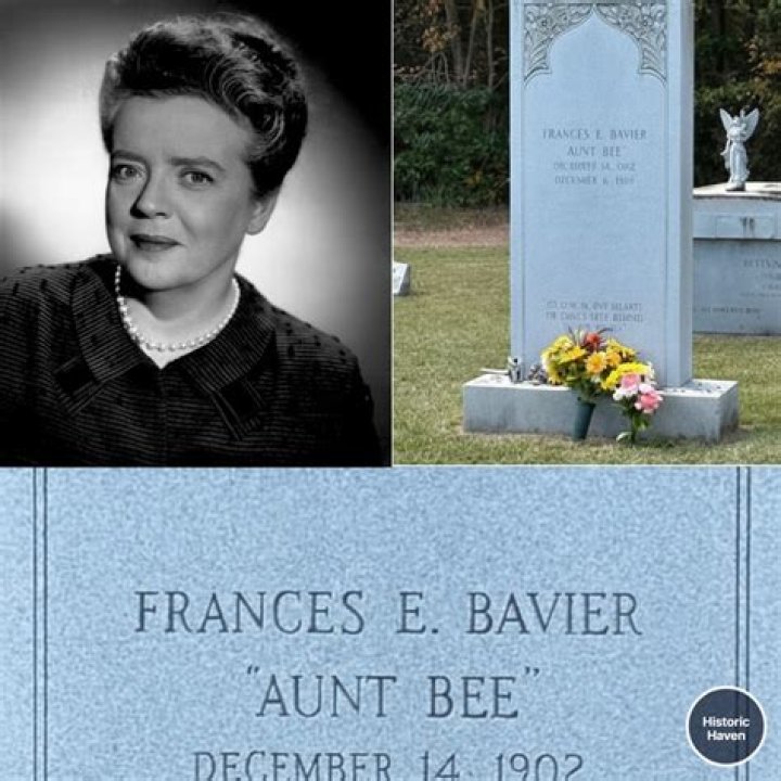 Unveiling The Hidden Story Behind Frances Bavier's Final Image