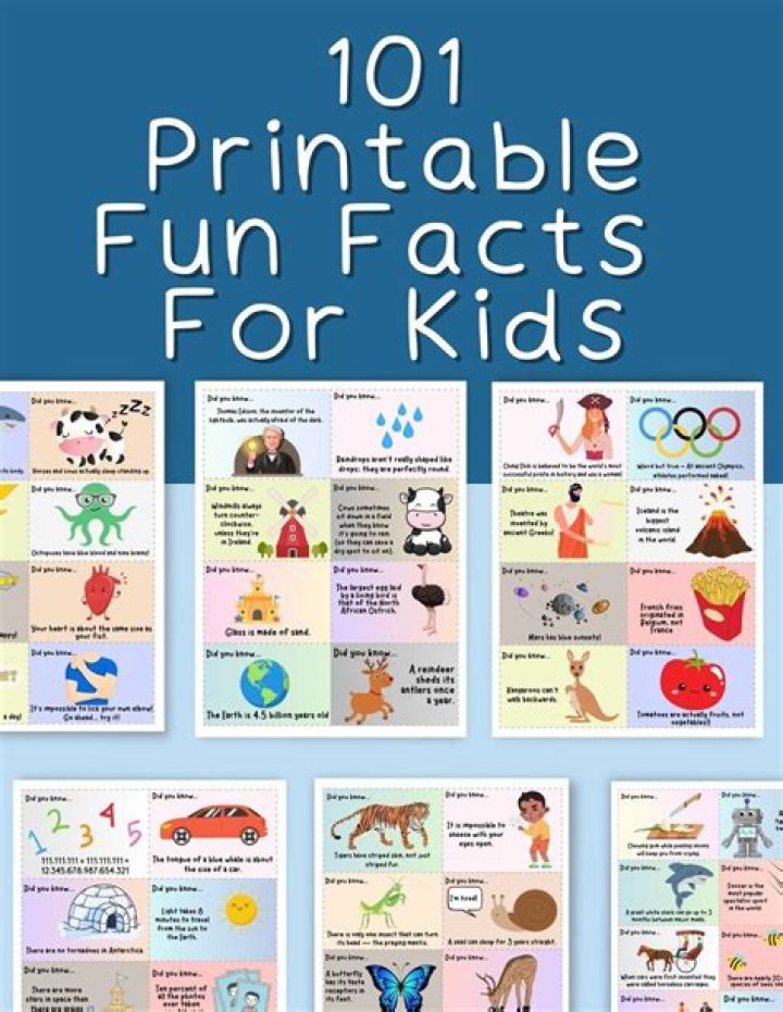 Vedette Lim Wiki And Bio -Five Facts To Learn About ·