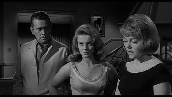 Who Was Actress Diane Sayer? Wikipedia Bio -Everything To Know ·